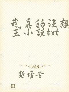 我真的没想抢男主小说txt