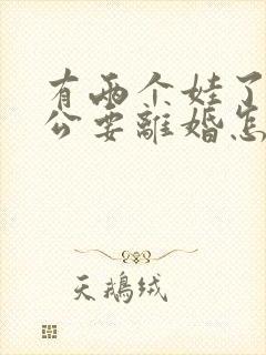 有两个娃了 老公要离婚怎么办