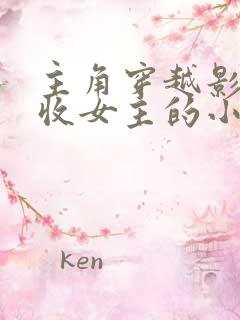 主角穿越影视剧收女主的小说