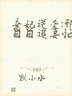 弃妃逆袭:邪王日日追妻忙正版