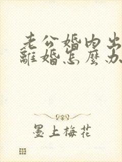 老公婚内出轨要离婚怎么办