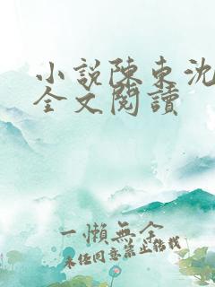 小说陈东沈幼宁全文阅读