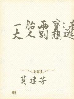 一胎两宝:老婆大人别想逃