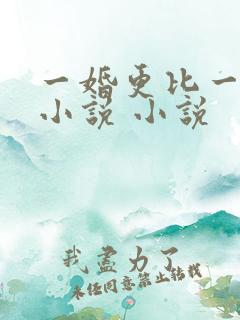 一婚更比一婚高小说 小说