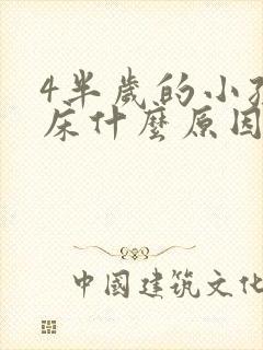 4半岁的小孩尿床什么原因