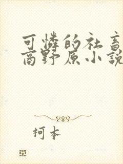 可怜的社畜周颂商野原小说txt