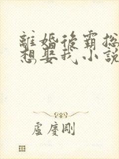 离婚后霸总天天想娶我小说免费