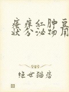 瘙痒红肿豆腐渣状分泌物用什么药