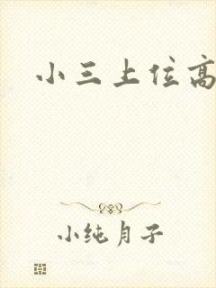 小三上位高干