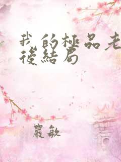 我的极品老婆最后结局