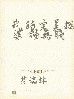 我的完美总裁老婆 钟无贱