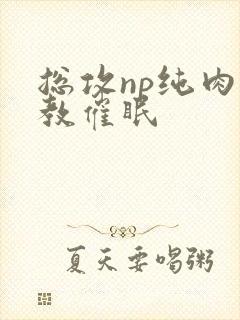 总攻np纯肉调教催眠