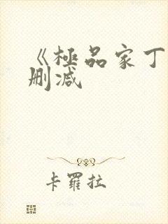 《极品家丁》无删减