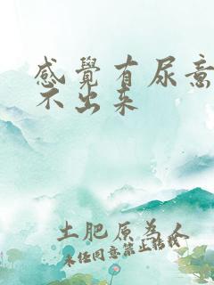 感觉有尿意却尿不出来