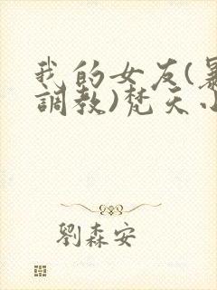 我的女友(暴露调教)梵天小说