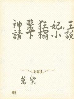 神医狂妃,王爷请下榻小说