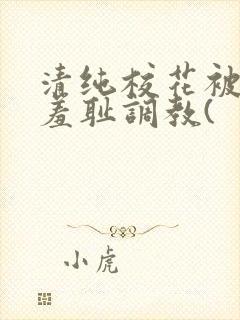 清纯校花被民工羞耻调教(