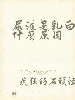 尿液是乳白色是什么原因