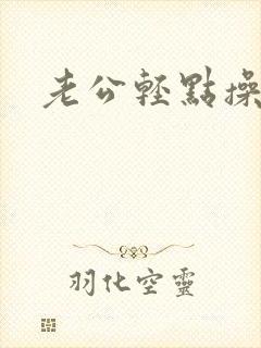 老公轻点操小说