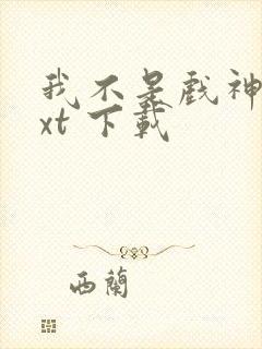 我不是戏神 txt 下载