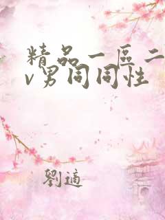 精品一区二区gv男同同性