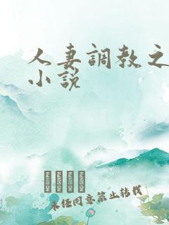 人妻调教之前后小说