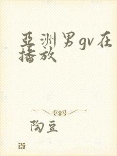 亚洲男gv在线播放