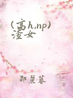 (高h,np)渣女