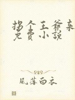 拐个王爷来撑腰免费小说