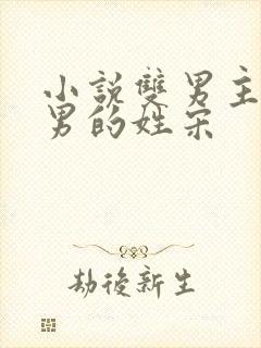 小说双男主一个男的姓宋