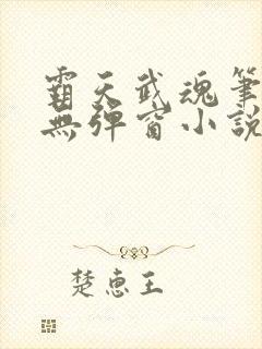 霸天武魂笔趣阁无弹窗小说