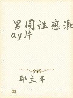 男同性恋激情gay片