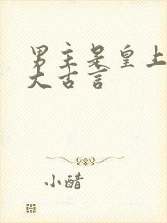 男主是皇上年龄大古言