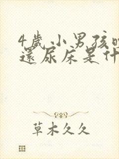 4岁小男孩晚上还尿床是什么原因