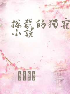 总裁的独宠甜妻小说