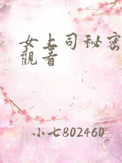 女上司秘密在线观看
