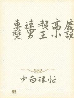 车速超高废文的双男主小说推荐免费