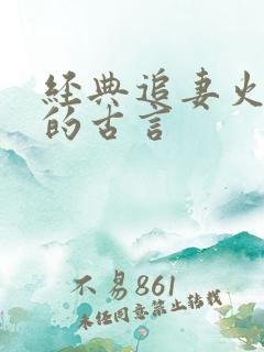 经典追妻火葬场的古言