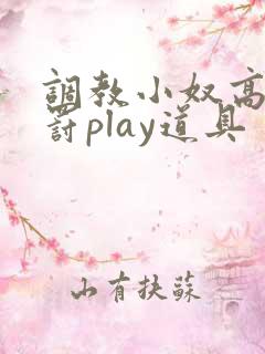 调教小奴高潮惩罚play道具