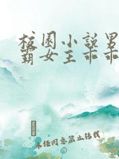 校园小说男主校霸女主乖乖女