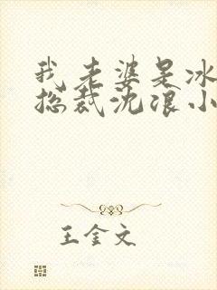 我老婆是冰山女总裁沈浪小说