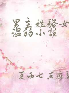 男主姓骆女主姓温的小说