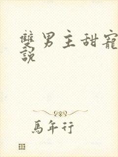 双男主甜宠文小说