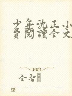 少年沈正小说免费阅读全文