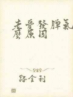 老爱发脾气是什么原因