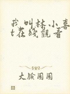 我叫林小喜txt在线观看