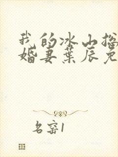 我的冰山总裁未婚妻叶辰免费阅读