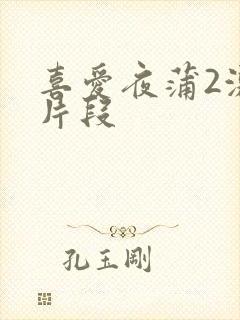 喜爱夜蒲2激情片段