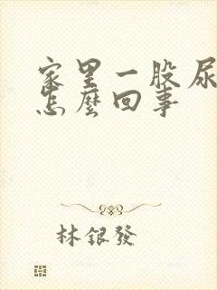 家里一股尿骚味怎么回事