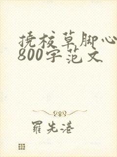 挠校草脚心作文800字范文